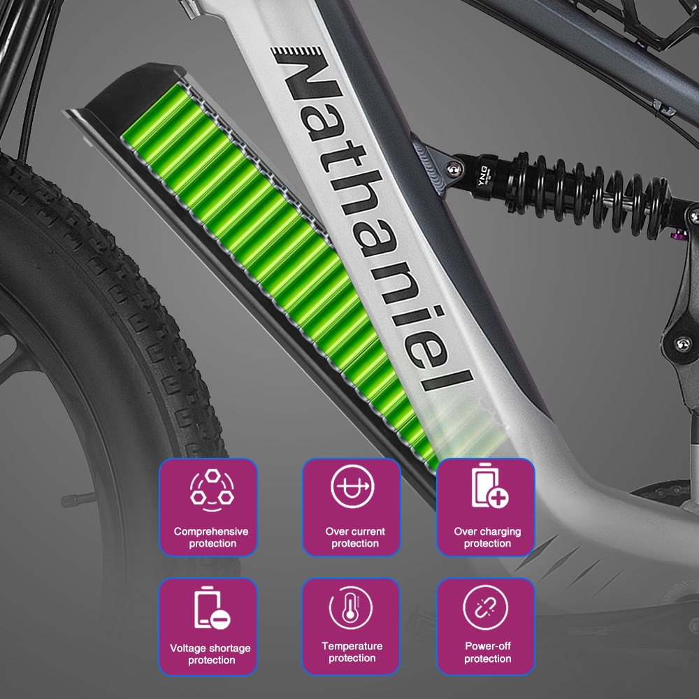Nathaniel SYR09 Electric Bike  - огляд і ціна Dual Motor Ebike Kit 2000W